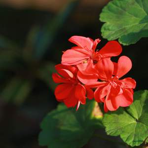 美非人马性生活
